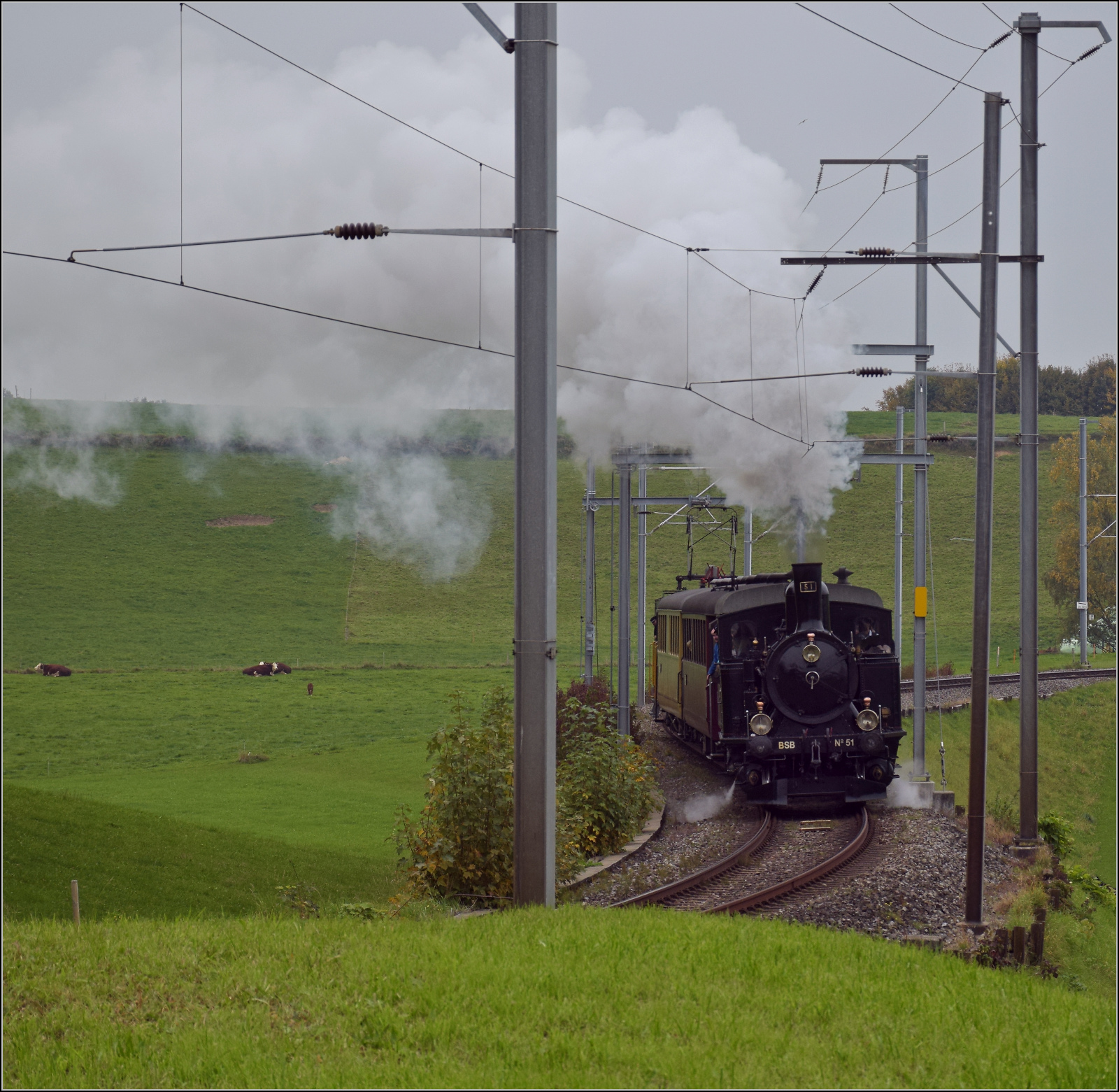 Das letzte Mal daheim in Schwarzenburg.

BSB Ed 3/4 51 auf ihrer Heimstrecke, bevor sie wegen ETCS ein Hausverbot bekommt. Hier im Feldmoos kurz vor der Einfahrt Schwarzenburg. Oktober 2025.