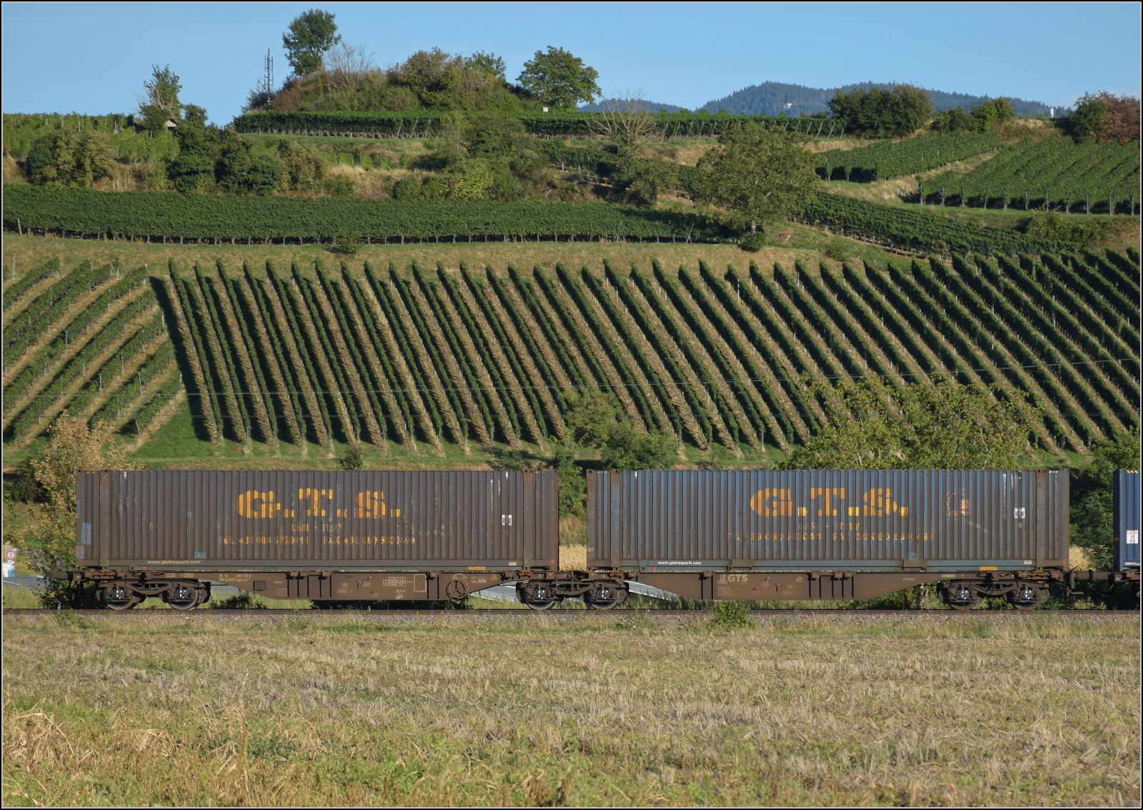 Der Wagen 33 54 4962 239-8 TEN CZ-GTSR Sggmrss im Zugverband mit Re 475 435. Buggingen, September 2026.