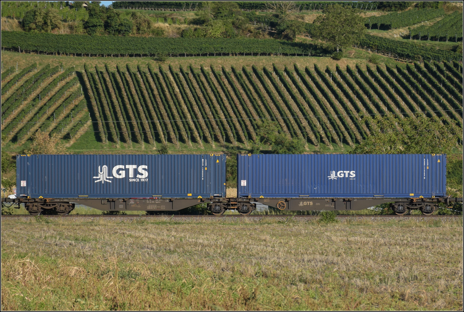 Der Wagen 33 54 4962 580-5 TEN CZ-GTSL Sggmrss im Zugverband mit Re 475 435. Buggingen, September 2026.