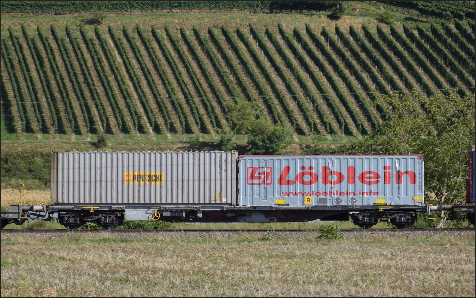 Der Wagen 33 80 4575 305-9 TEN D-ORME Sgnss im Zugverband mit 193 520 'Diveria'. Buggingen, September 2026.