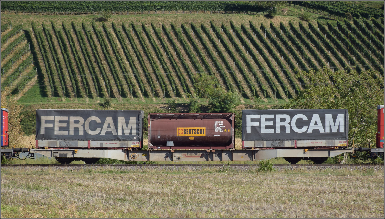 Der Wagen 83 80 4561 059-7 TEN D-ORME Sggnss im Zugverband mit 193 520 'Diveria'. Buggingen, September 2026.