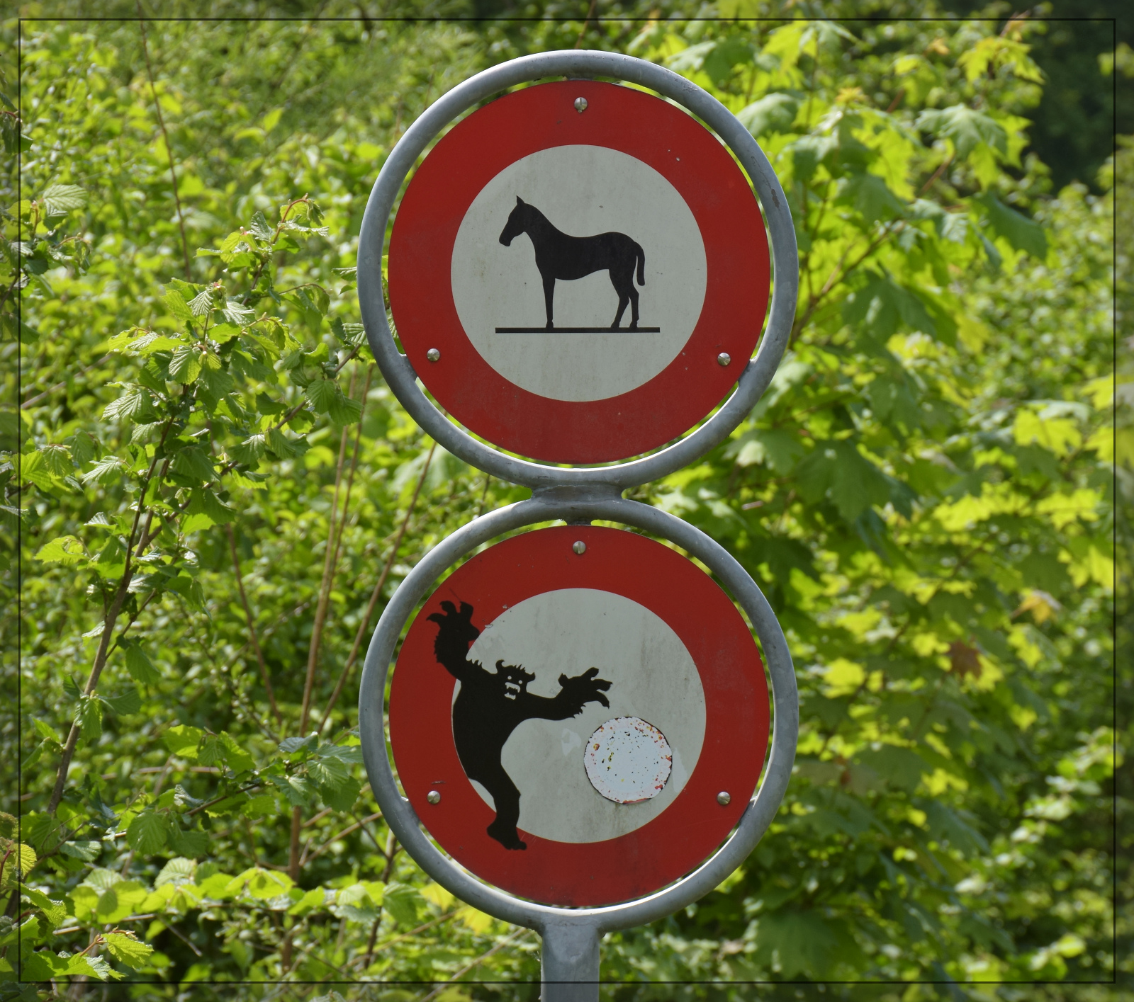 Direkt neben der Brunnmattbrücke sind offenbar Pferde verboten. Und was eigentlich noch? Ein Emmenschrat oder furchteinflössende, schwarze Dampfrösser? Emmenmatt, Mai 2025.