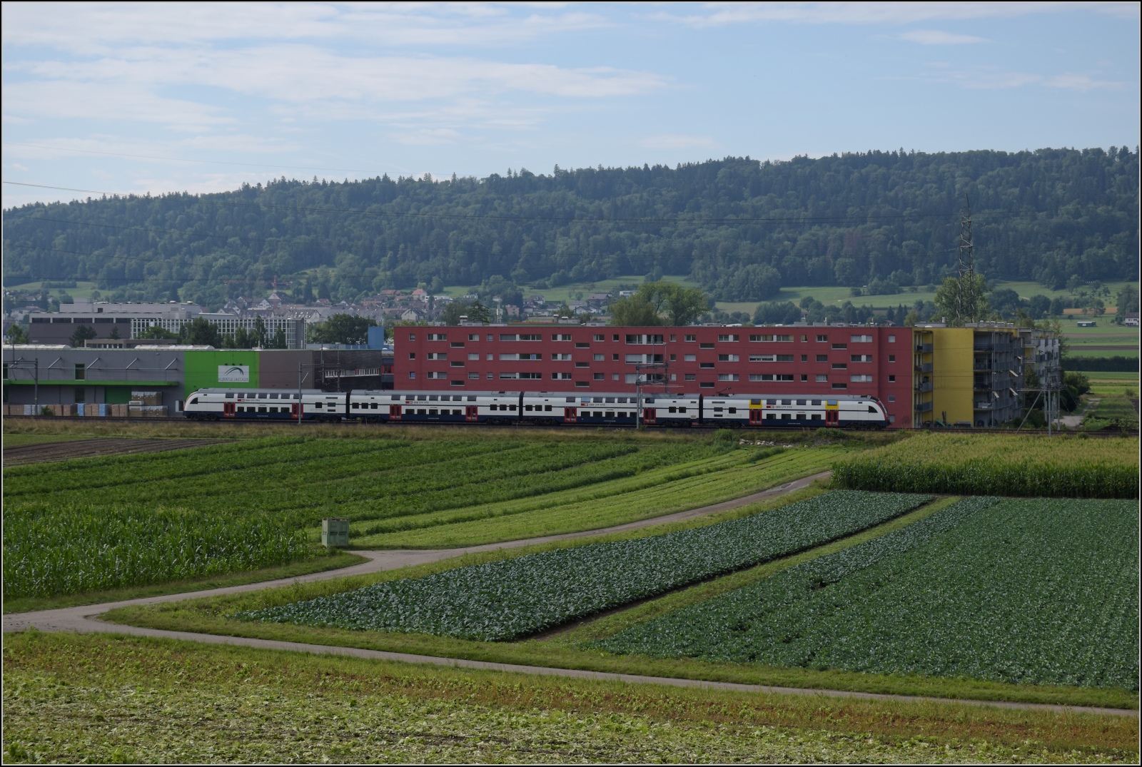 Ein DTZ der Zrcher S-Bahn auf der Furttallinie bei Buchs ZH. Juli 2023.