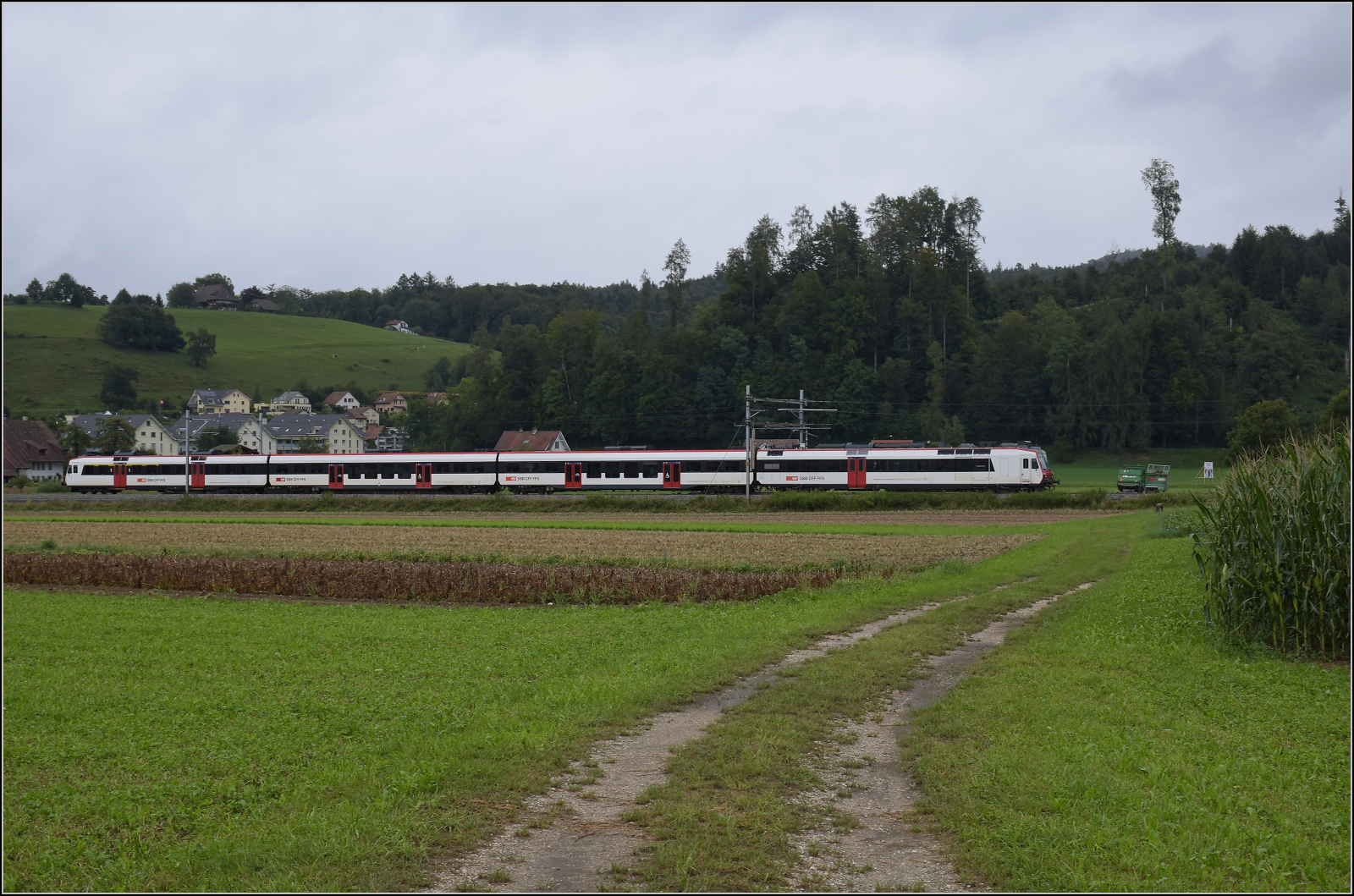 Ein unbekannt gebliebender NPZ Domino RABe 560 zieht an den Gemeindegrenzen Bittnau, Wikon und Zofingen vorbei. August 2017.