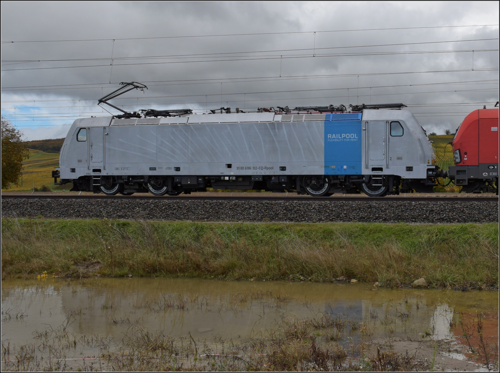 Ein Zebra am Oberrhein, welche Seltenheit. 186 102 Railpool als Zebra verkleidet im Bild und 193 349. Schliengen, Oktober 2025.