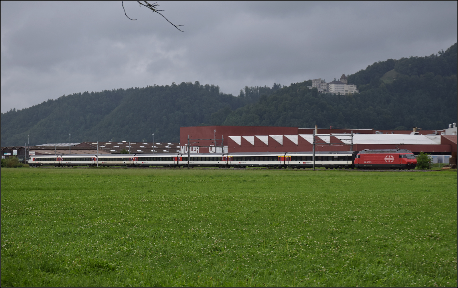 Eine unbekannt gebliebene Re 460 zieht einen Fernzug mit EW IV-Wagen durch Reiden. August 2017.
