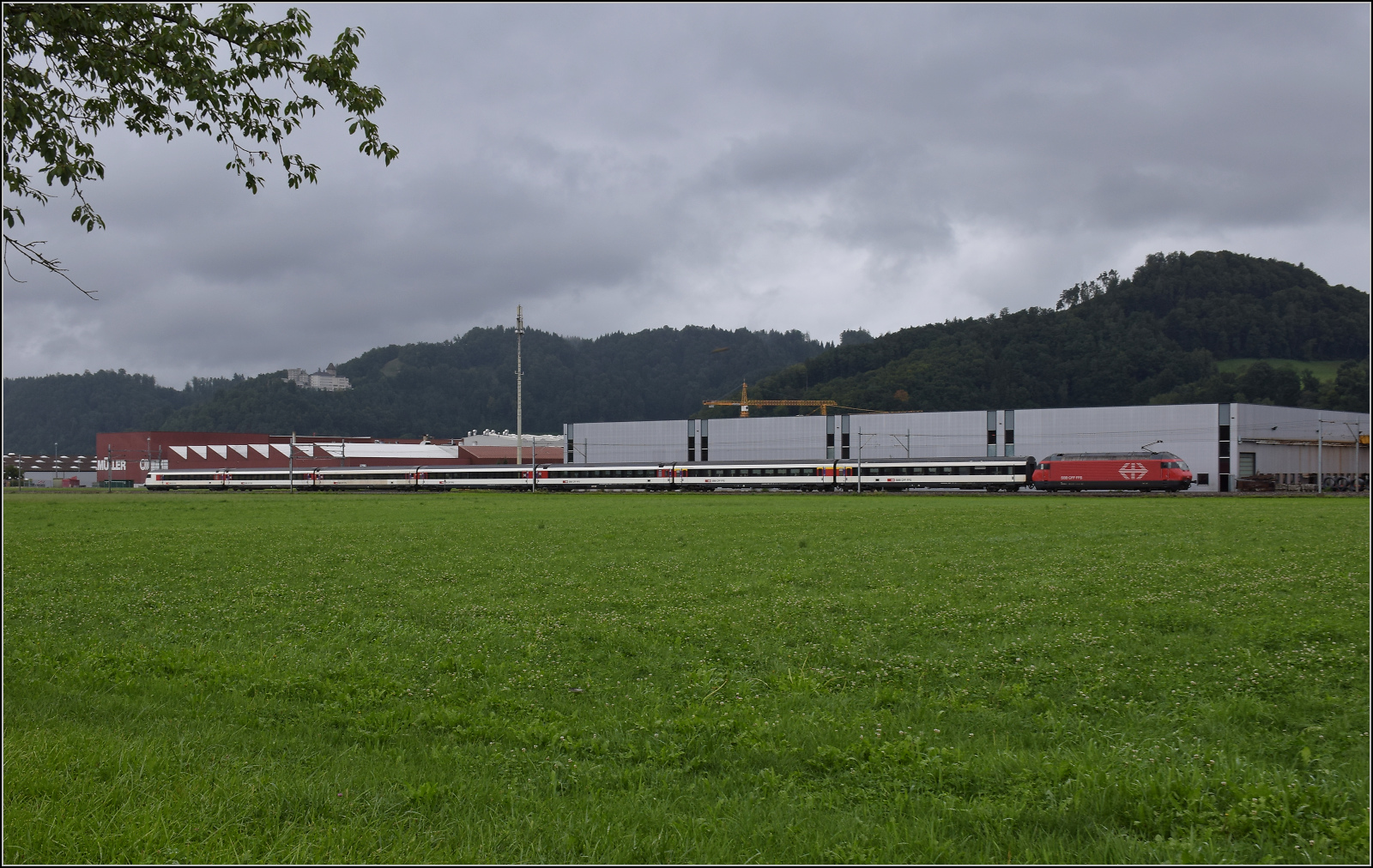 Eine unbekannt gebliebene Re 460 zieht einen Fernzug mit EW IV-Wagen durch Reiden. August 2017.