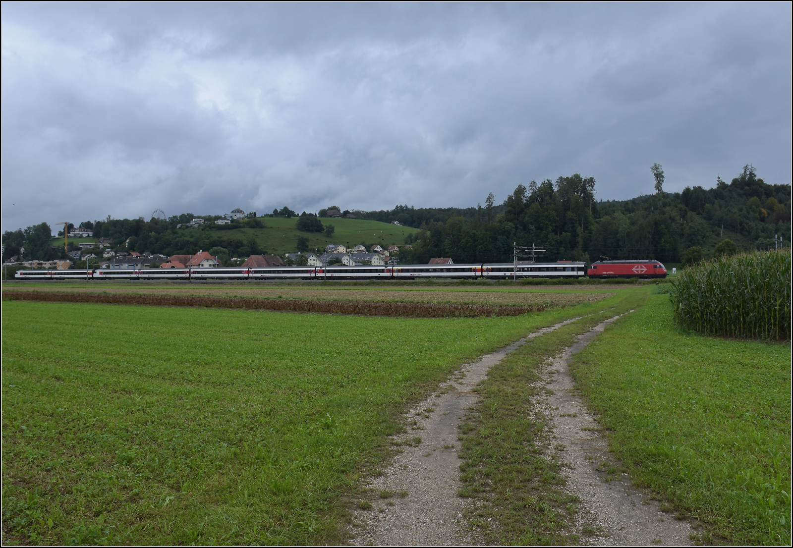 Eine unbekannt gebliebene Re 460 zieht mit einem IC und EW IV-Wagen an den Gemeindegrenzen Bittnau, Wikon und Zofingen vorbei. August 2017.