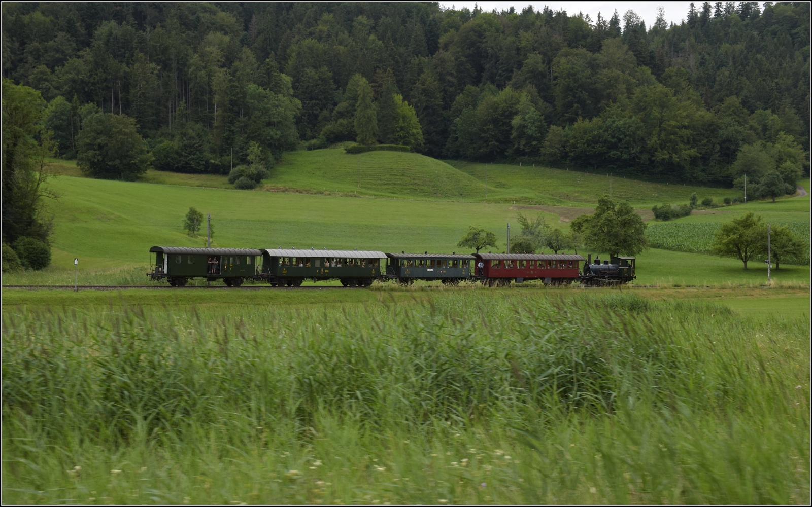 Fahrtag im Zrcher Oberland. Ed 3/3 401 der UeBB bei Bussenthal. Juli 2023.