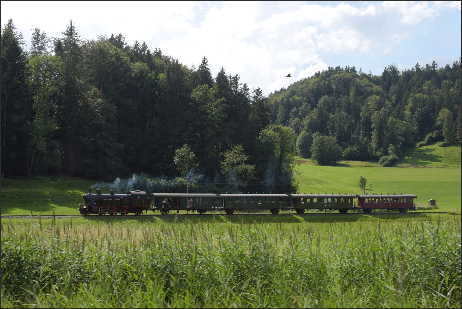 Fahrtag im Zrcher Oberland.

Eb 3/5 der BT bei Bussenthal. Juli 2023.