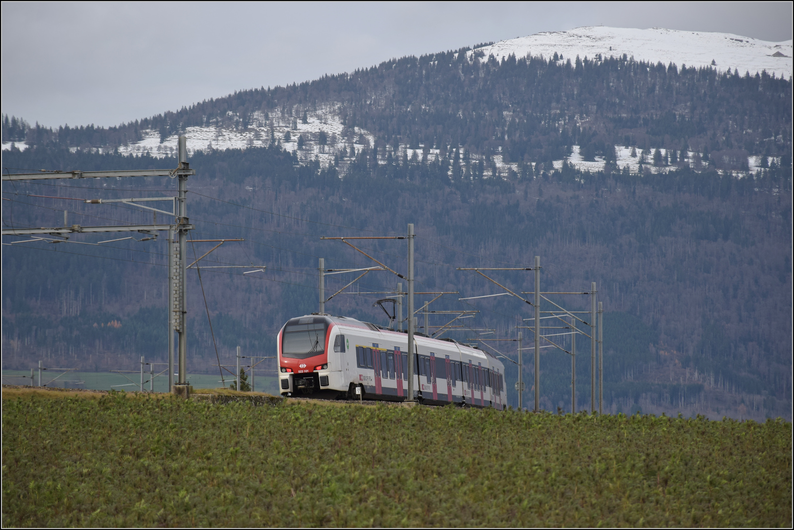 Flirt 3 RABe 523 101 'Le Day' bergwärts bei Arnex-sur-Orbe. Dezember 2025.