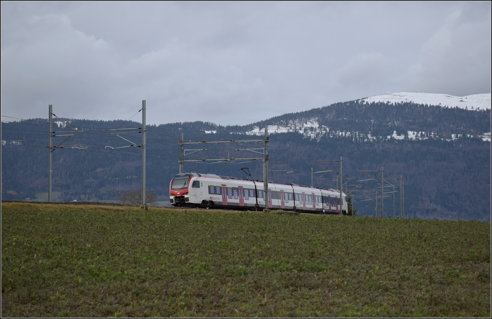 Flirt 3 RABe 523 101 'Le Day' bergwärts bei Arnex-sur-Orbe. Dezember 2025.