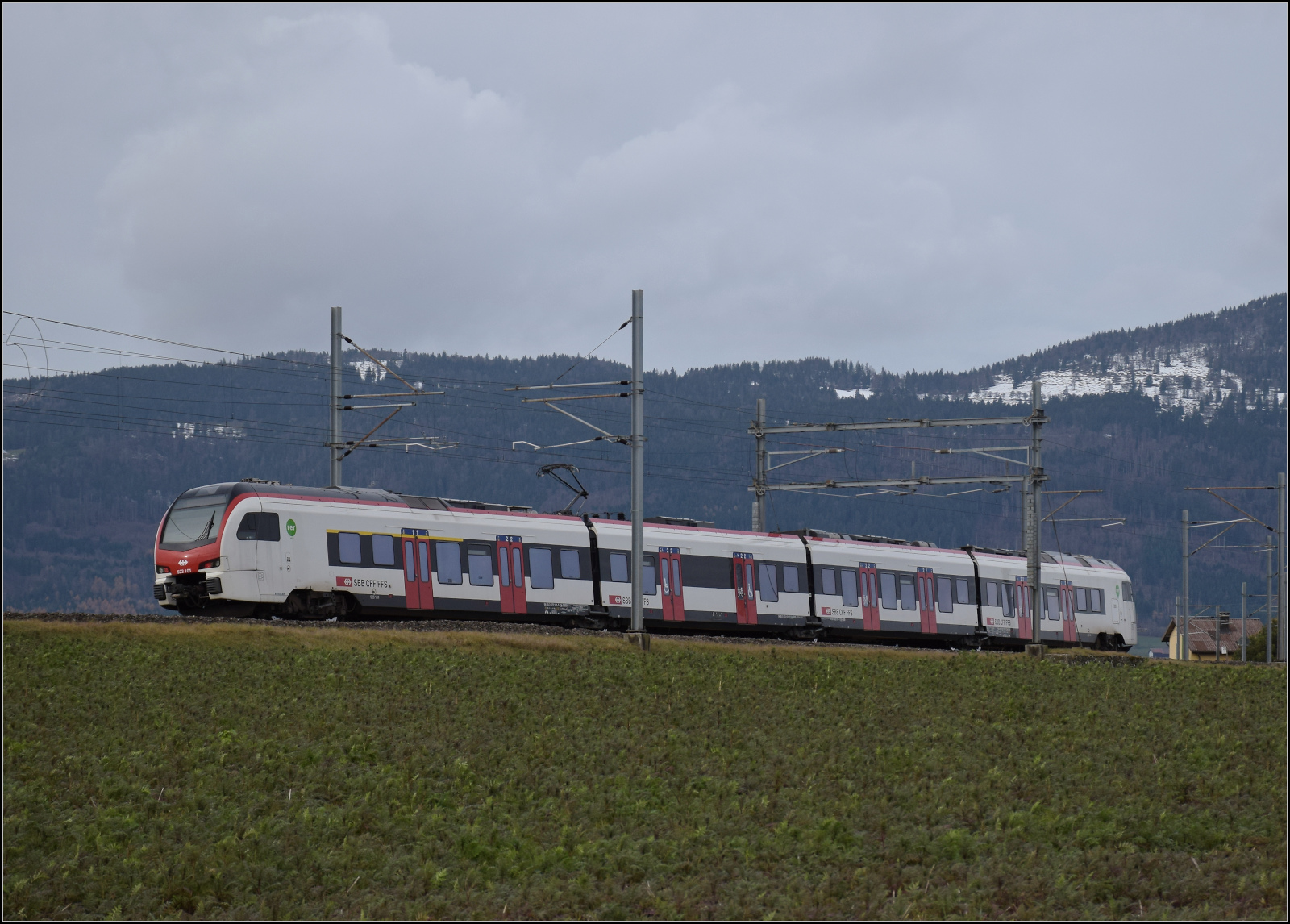 Flirt 3 RABe 523 101 'Le Day' bergwärts bei Arnex-sur-Orbe. Dezember 2025.