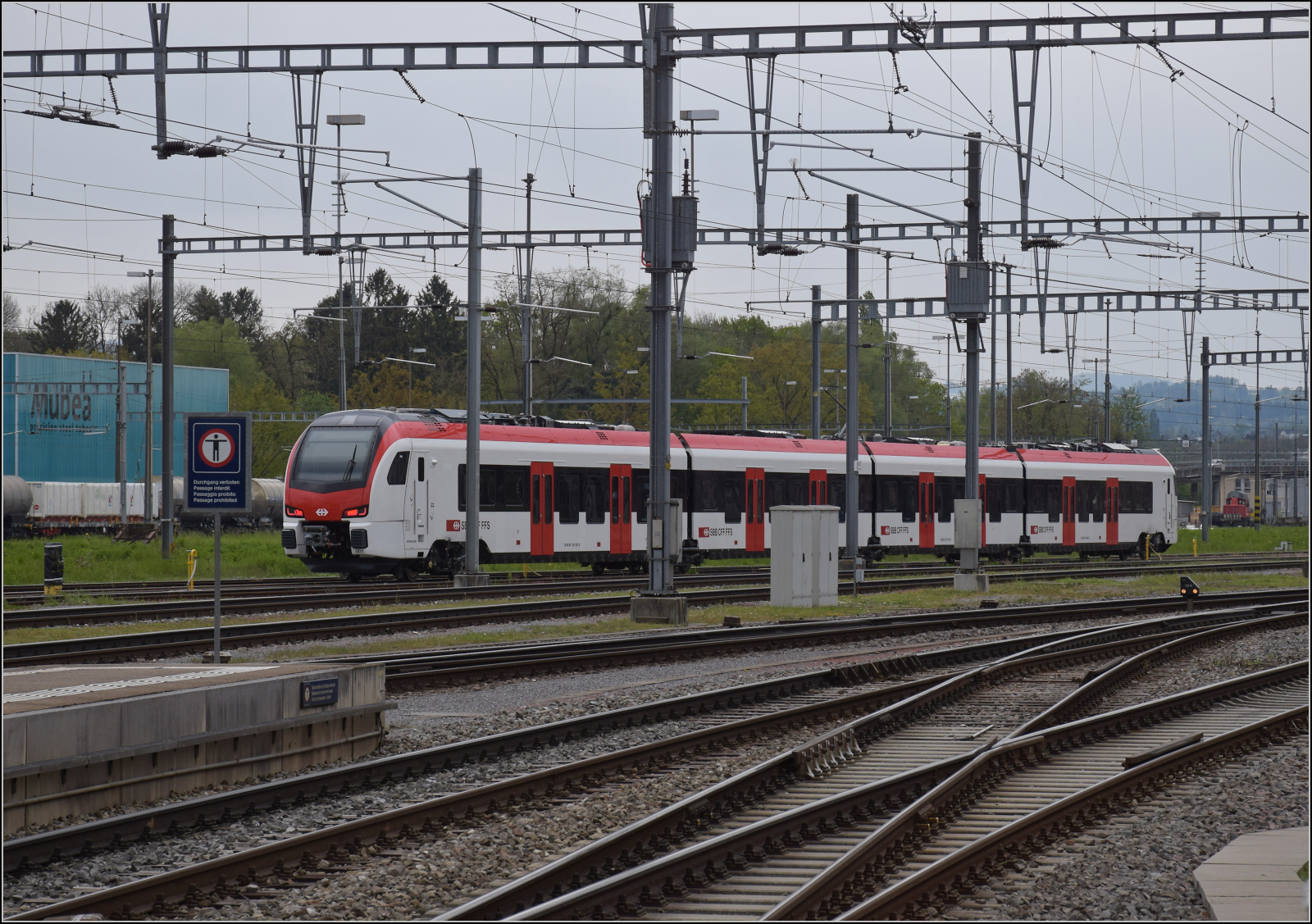 Flirt Evo RABe 531 001 in Romanshorn. April 2024.