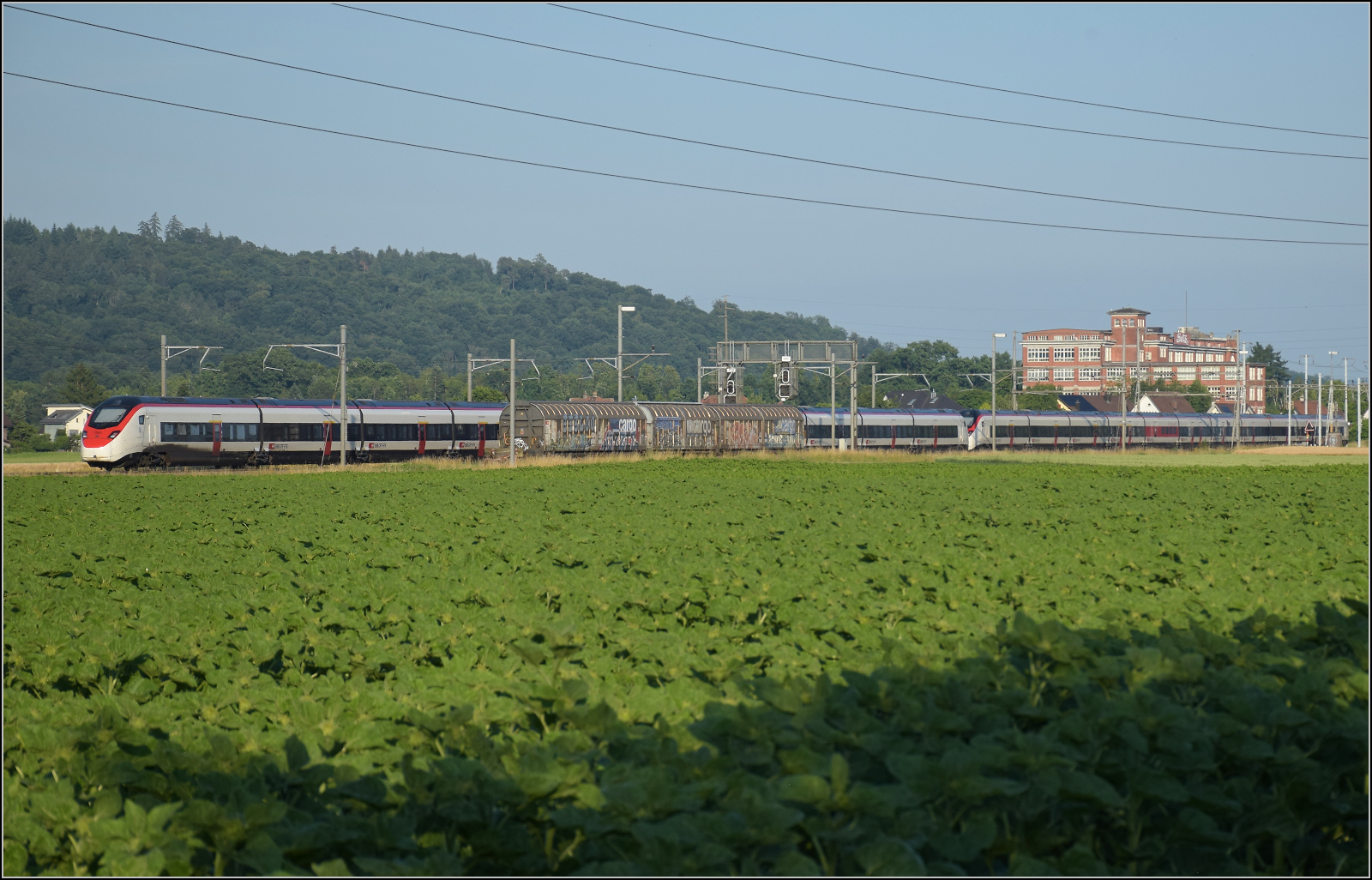Für Abwechslung bei Hendschiken sorgt ein umgeleiteter Fernverkehrszug mit RABe 501 025 'Geneve' und RABe 501 020 'Luzern'. Juni 2025