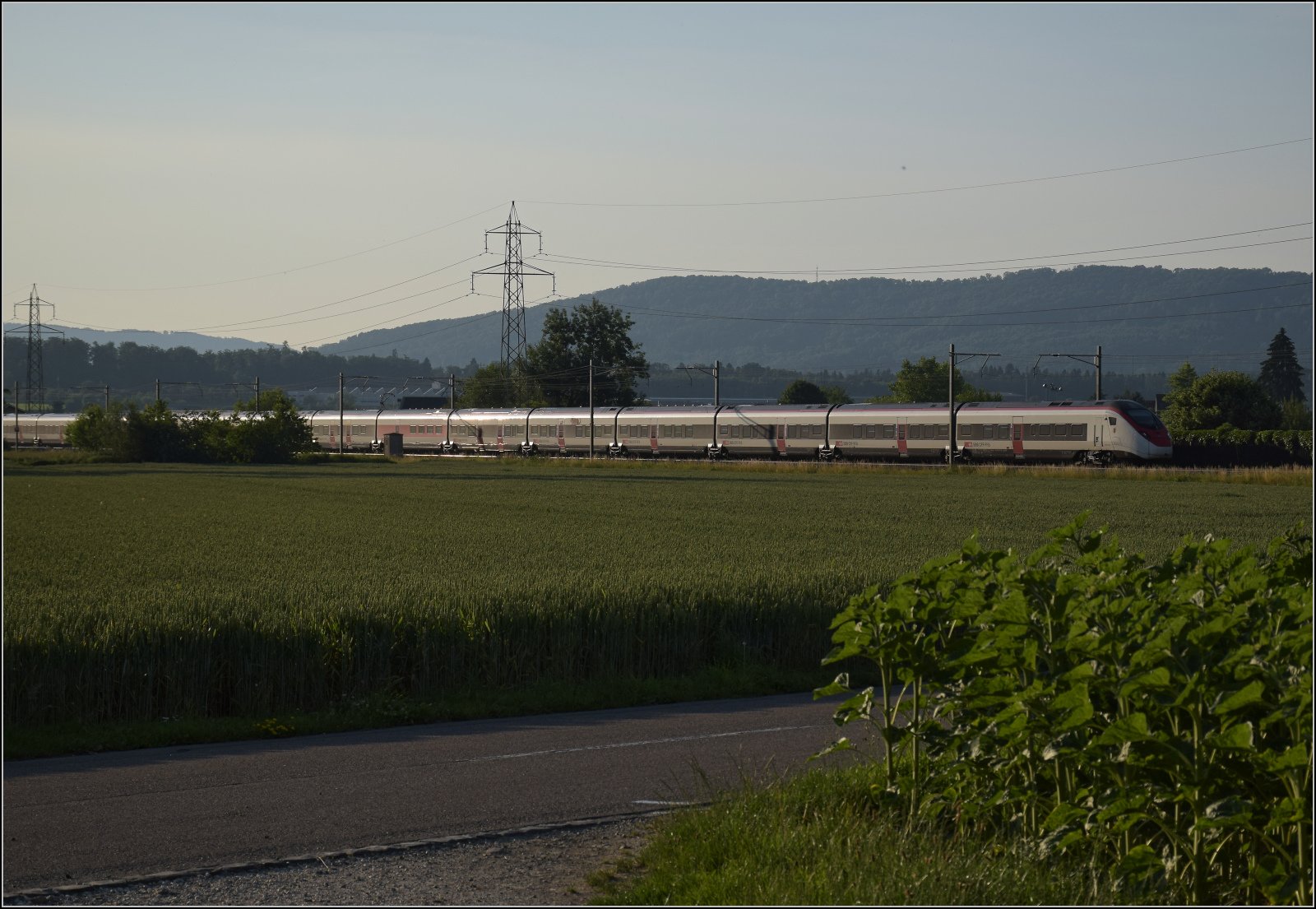 Für Abwechslung bei Hendschiken sorgt ein umgeleiteter Fernverkehrszug mit RABe 501 025 'Geneve' und RABe 501 020 'Luzern'. Juni 2025