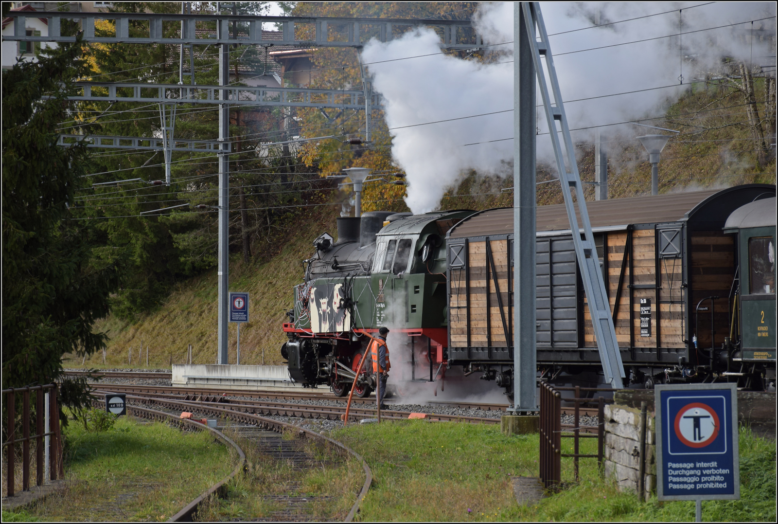 Gruseln zwischen Asphalt und Absinth. 

TKp 16 'Śląsk' hat sich mit dem Halloweenzug in Travers bereits vor den Zug gesetztm um die restliche Steigung auf eine der ersten Gebirgsbahnen der Welt zu erklimmen. Somit ist es Zeit, die erste Fotostelle aufzusuchen. Travers, Oktober 2025.