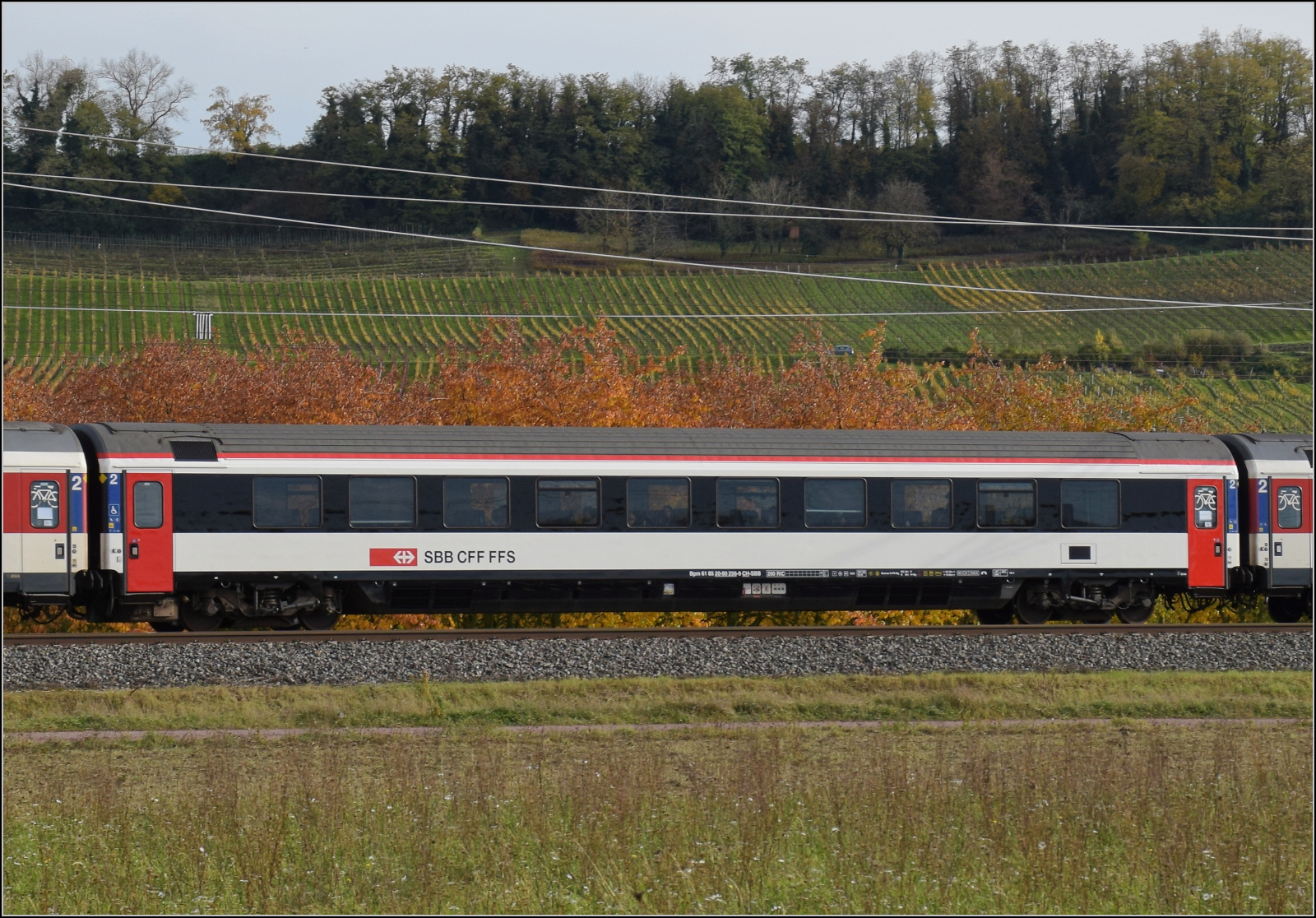 Herbst in Auggen.

101 134 mit dem EC 6 auf dem Weg nach Dortmund. Im Bild ist Bpm 61 85 20-90 256-90 CH-SBB. Oktober 2025.
