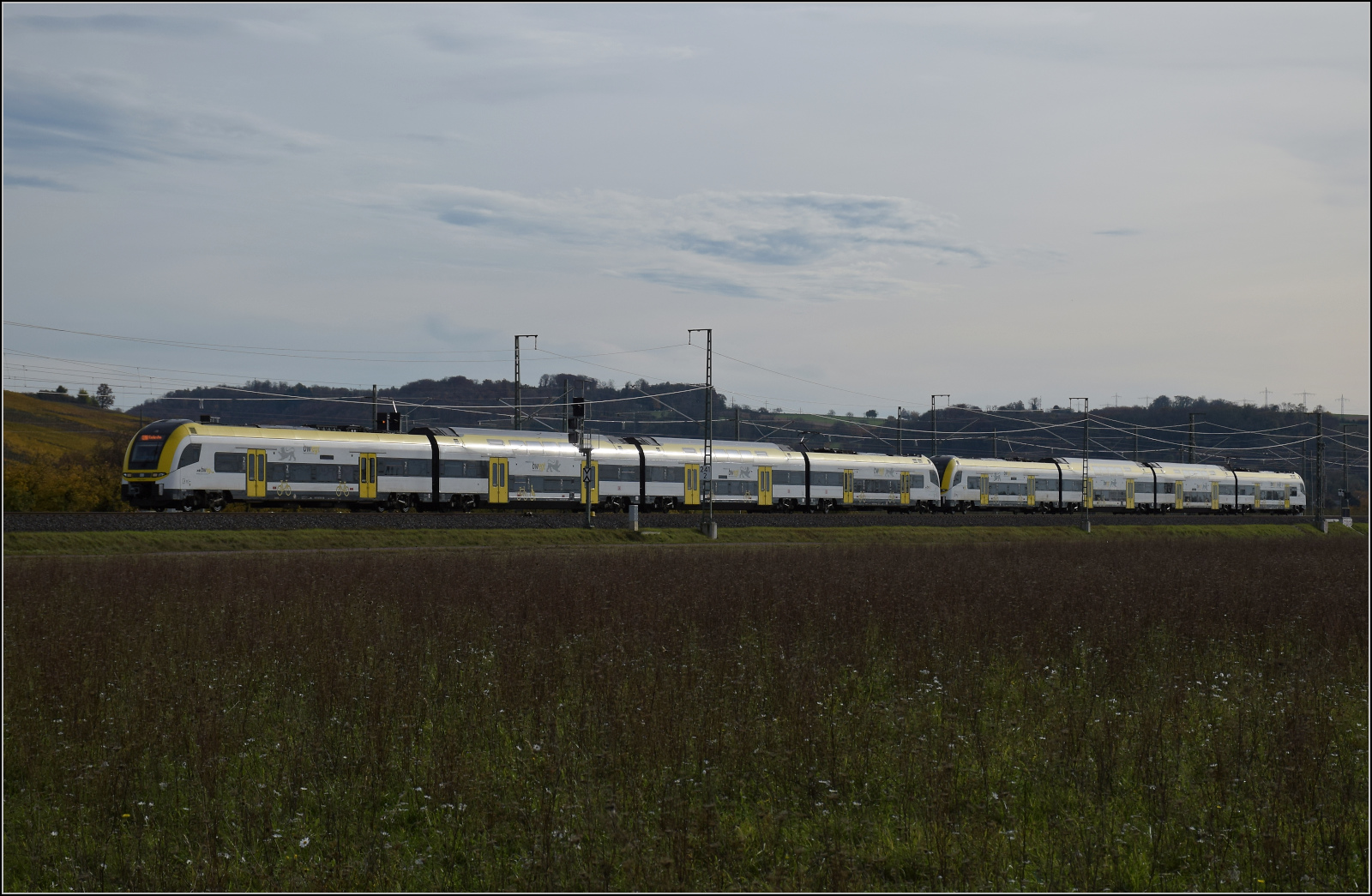 Herbst in Auggen.

1462 004 und 1462 009 auf dem Weg nach Norden. Oktober 2025.