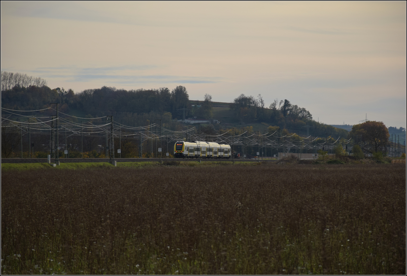 Herbst in Auggen.

1462 006 auf dem Weg nach Basel. Oktober 2025.