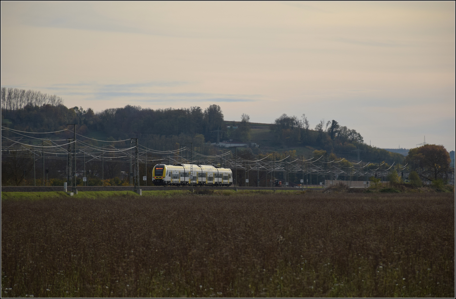Herbst in Auggen.

1462 006 auf dem Weg nach Basel. Oktober 2025.