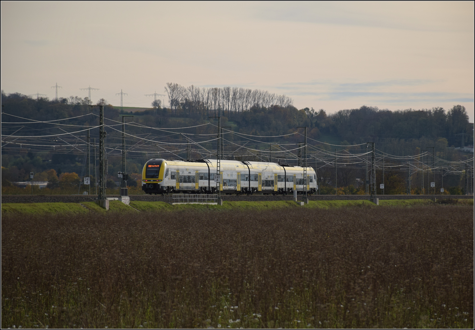 Herbst in Auggen.

1462 006 auf dem Weg nach Basel. Oktober 2025.