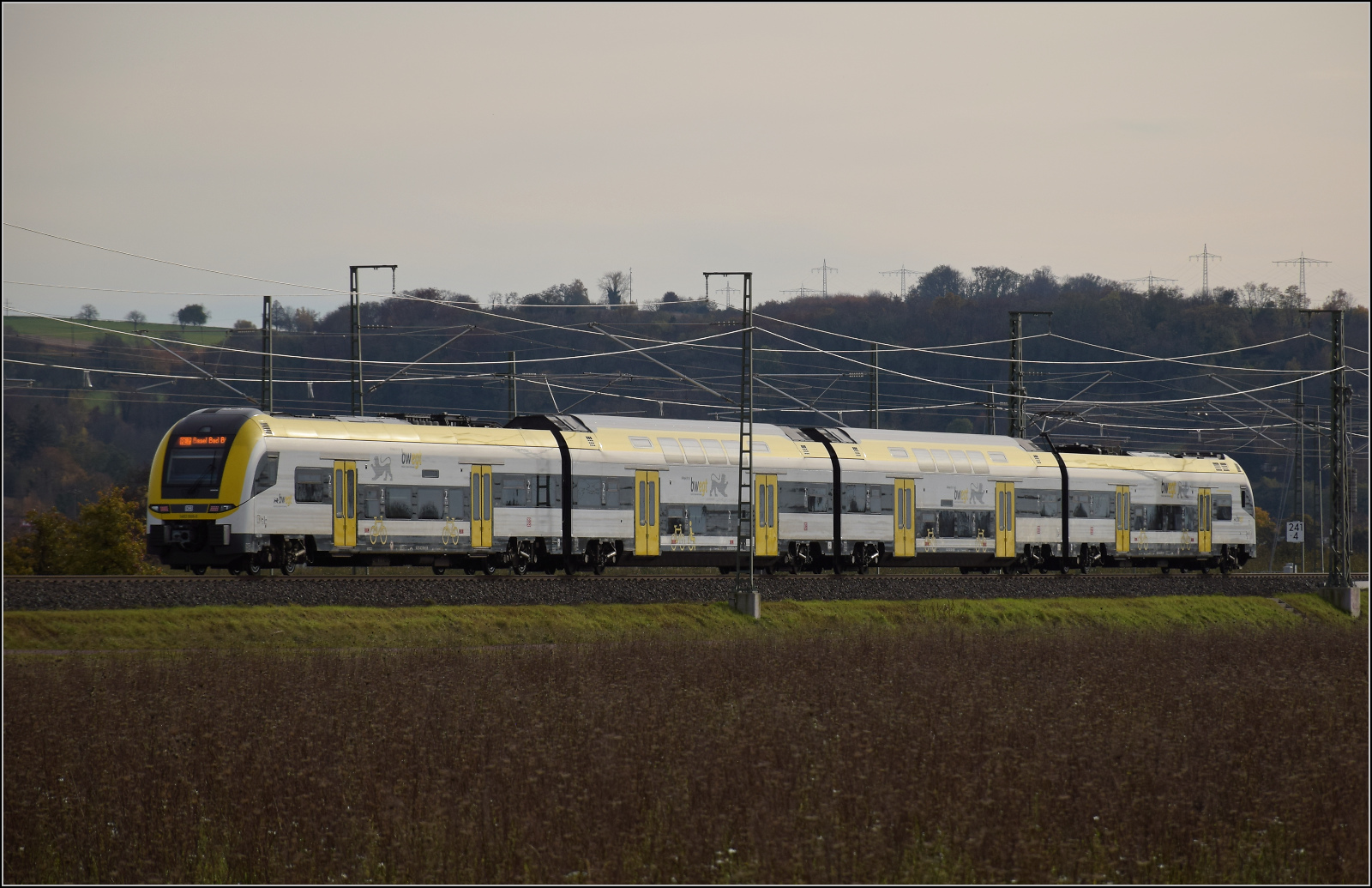 Herbst in Auggen.

1462 006 auf dem Weg nach Basel. Oktober 2025.
