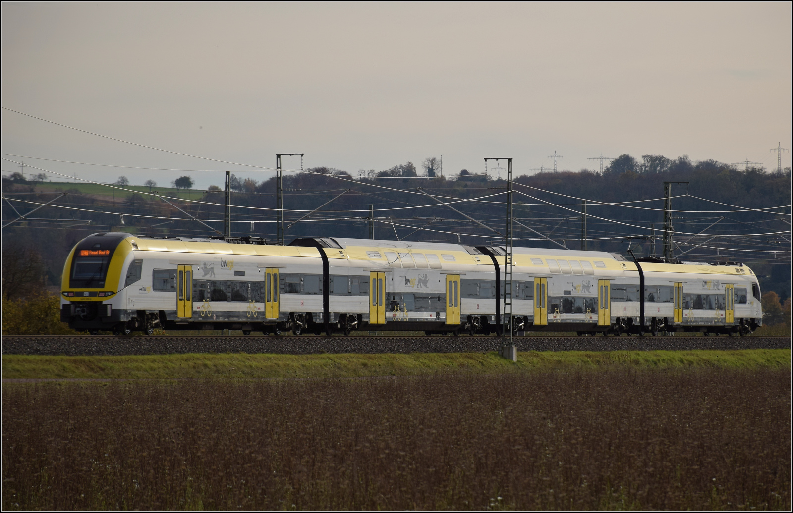 Herbst in Auggen.

1462 006 auf dem Weg nach Basel. Oktober 2025.