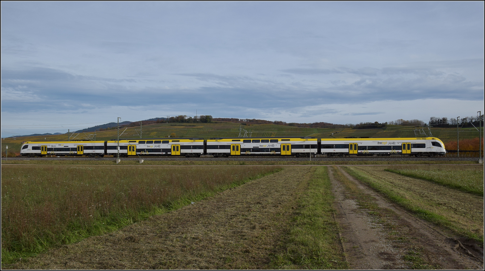 Herbst in Auggen.

1462 006 auf dem Weg nach Basel. Oktober 2025.