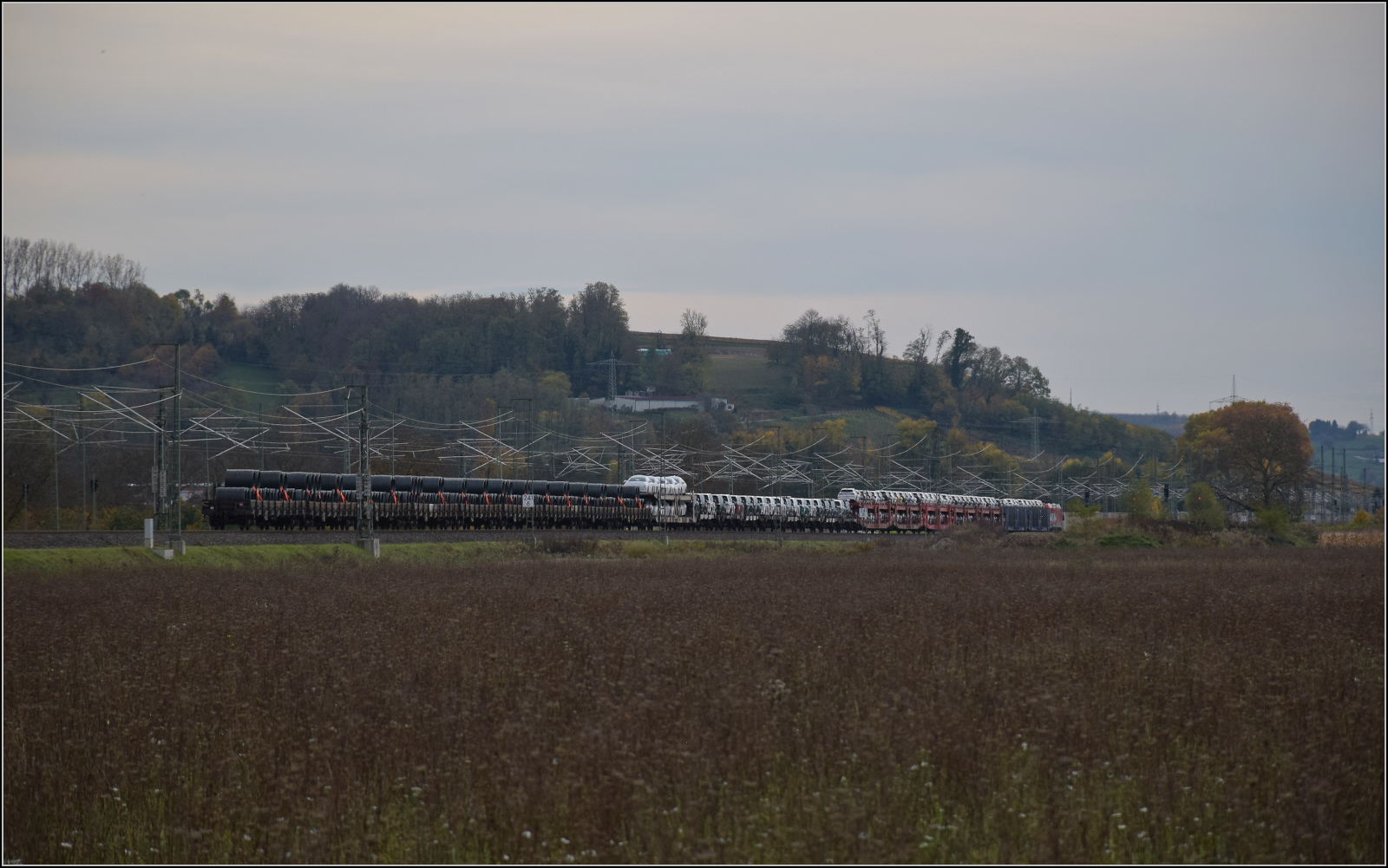 Herbst in Auggen.

185 254 ist mit Transportern und Drahtrollen südwärts unterwegs. Oktober 2025.