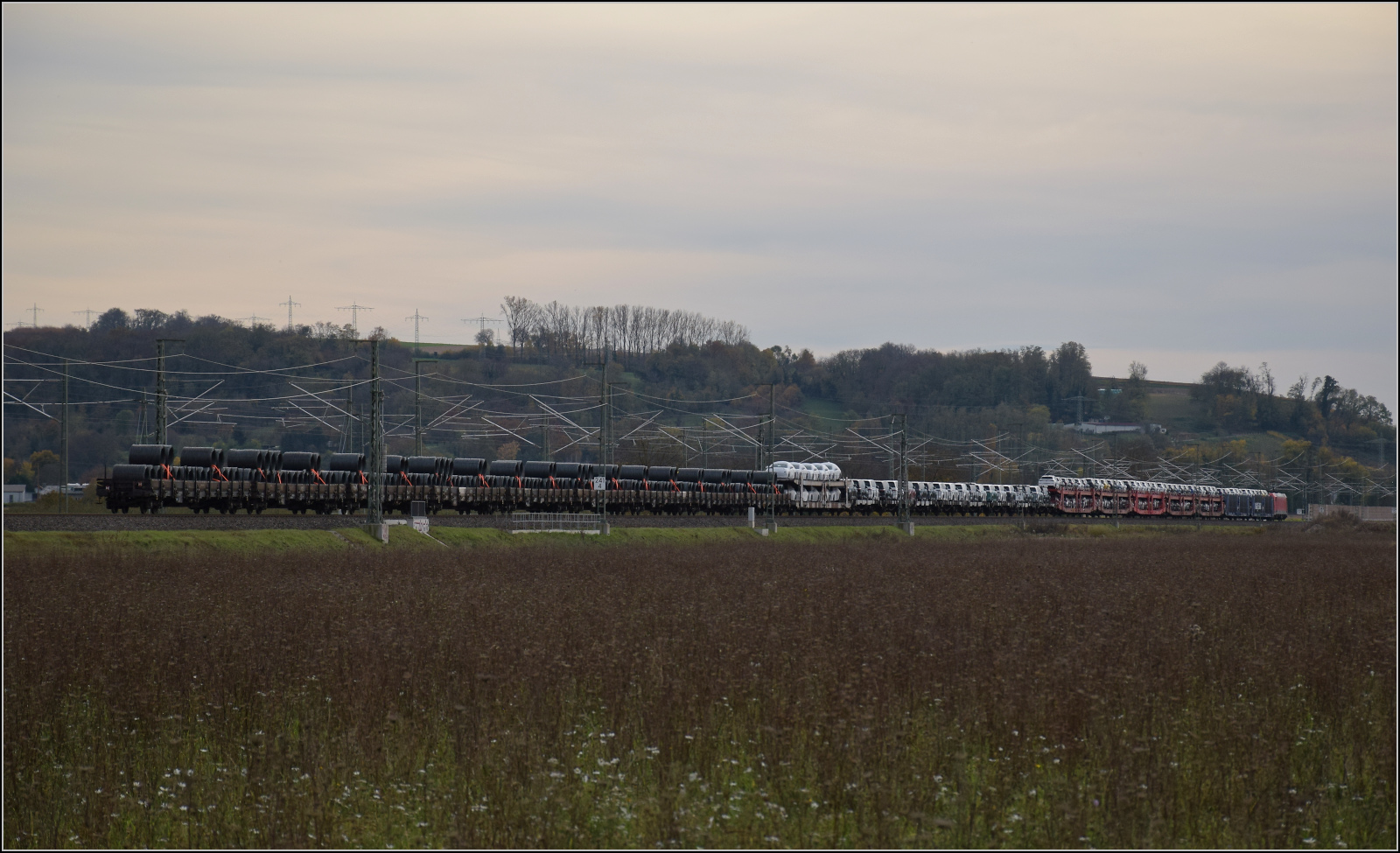 Herbst in Auggen.

185 254 ist mit Transportern und Drahtrollen südwärts unterwegs. Oktober 2025.