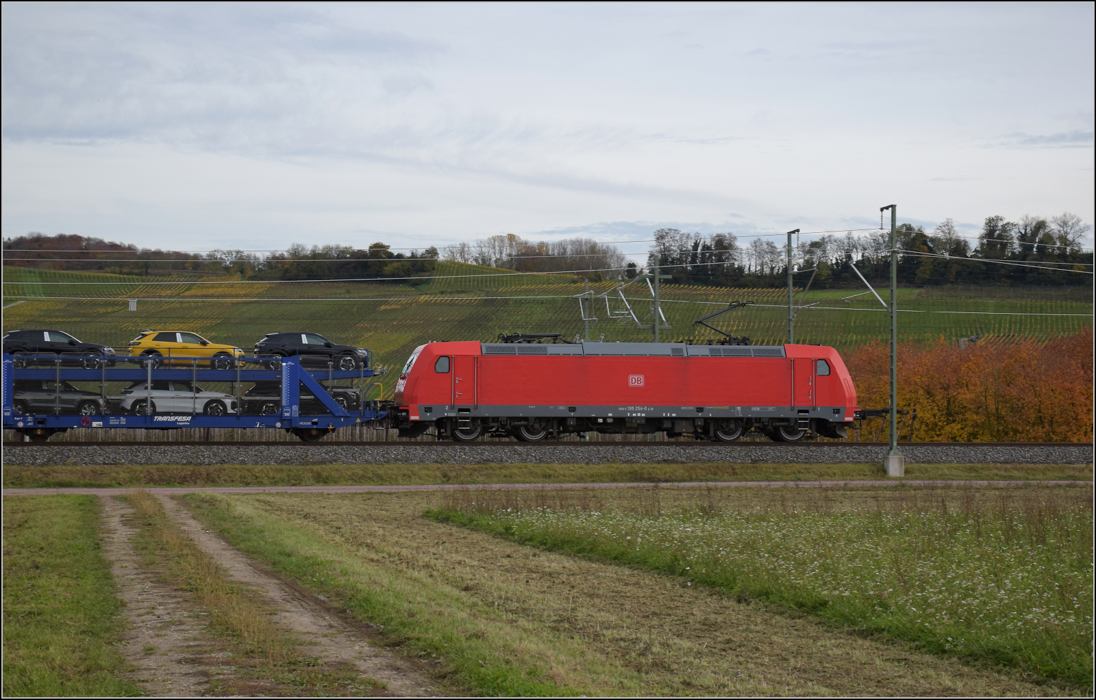 Herbst in Auggen.

185 254 ist mit Transportern und Drahtrollen südwärts unterwegs. Oktober 2025.