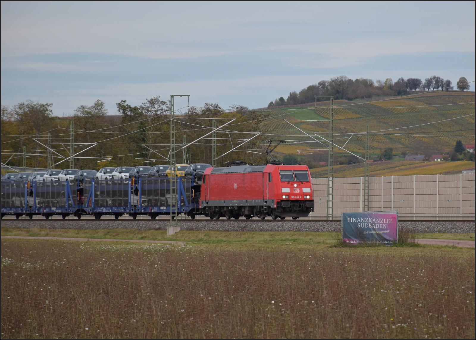 Herbst in Auggen.

185 254 ist mit Transportern und Drahtrollen südwärts unterwegs. Oktober 2025.