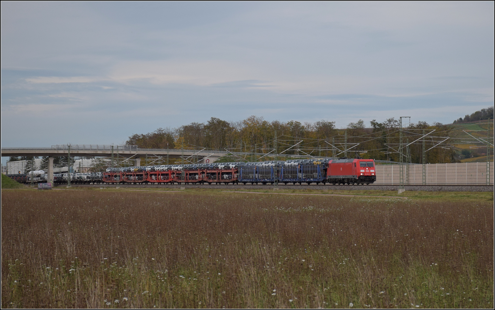 Herbst in Auggen.

185 254 ist mit Transportern und Drahtrollen südwärts unterwegs. Oktober 2025.