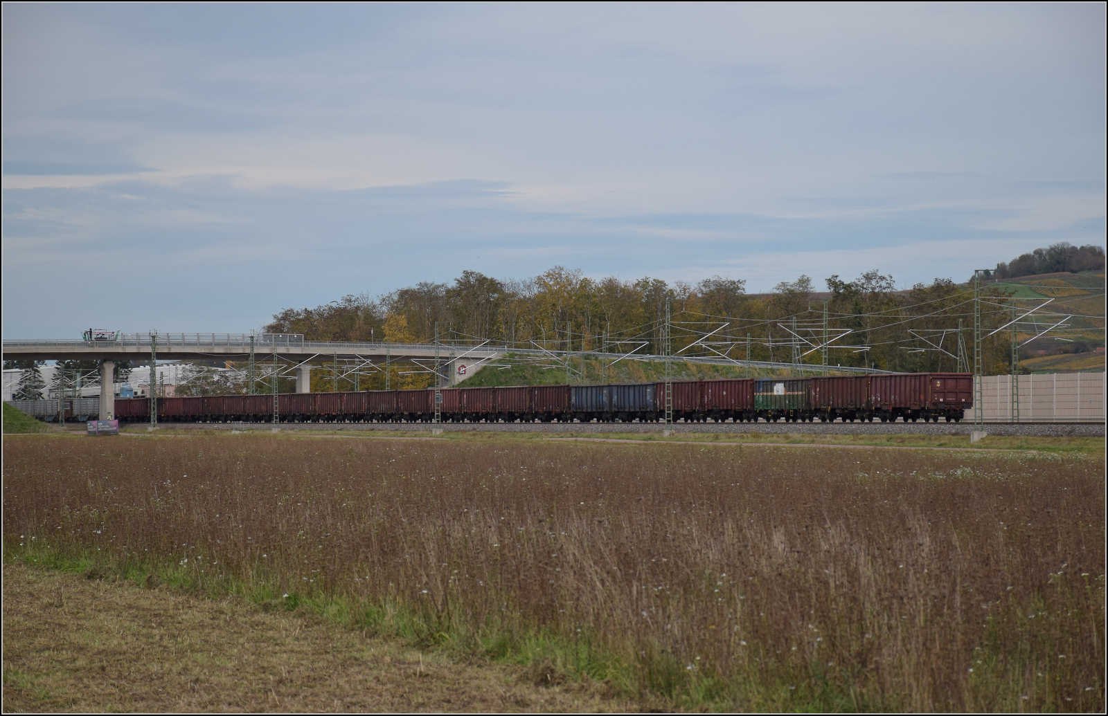 Herbst in Auggen.

186 452 von Railpool und 185 586 Akiem fahren zur Abholung weiterer Rüben nach Norddeutschland. Im Bild die lange Schlange offener Güterwagen. Oktober 2025.