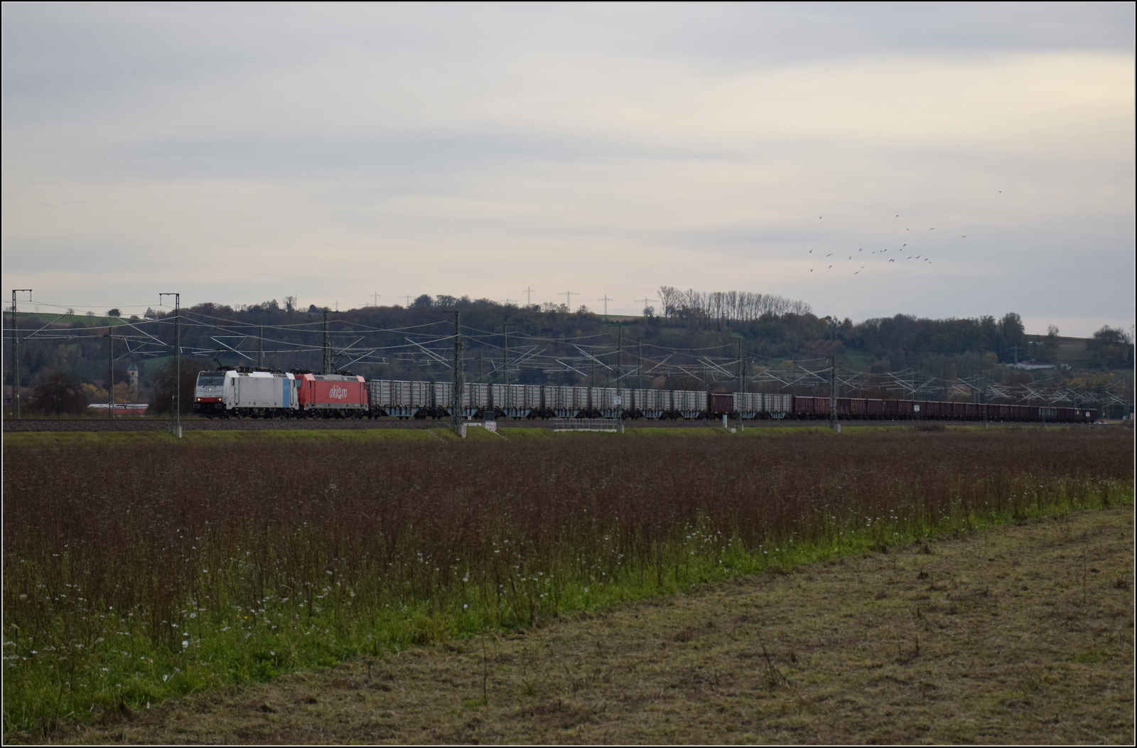 Herbst in Auggen.

186 452 von Railpool und 185 586 Akiem fahren zur Abholung weiterer Rüben nach Norddeutschland. Oktober 2025.
