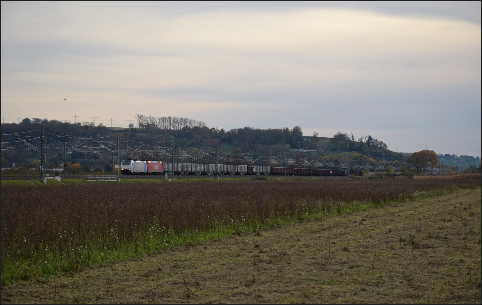 Herbst in Auggen.

186 452 von Railpool und 185 586 Akiem fahren zur Abholung weiterer Rüben nach Norddeutschland. Oktober 2025.