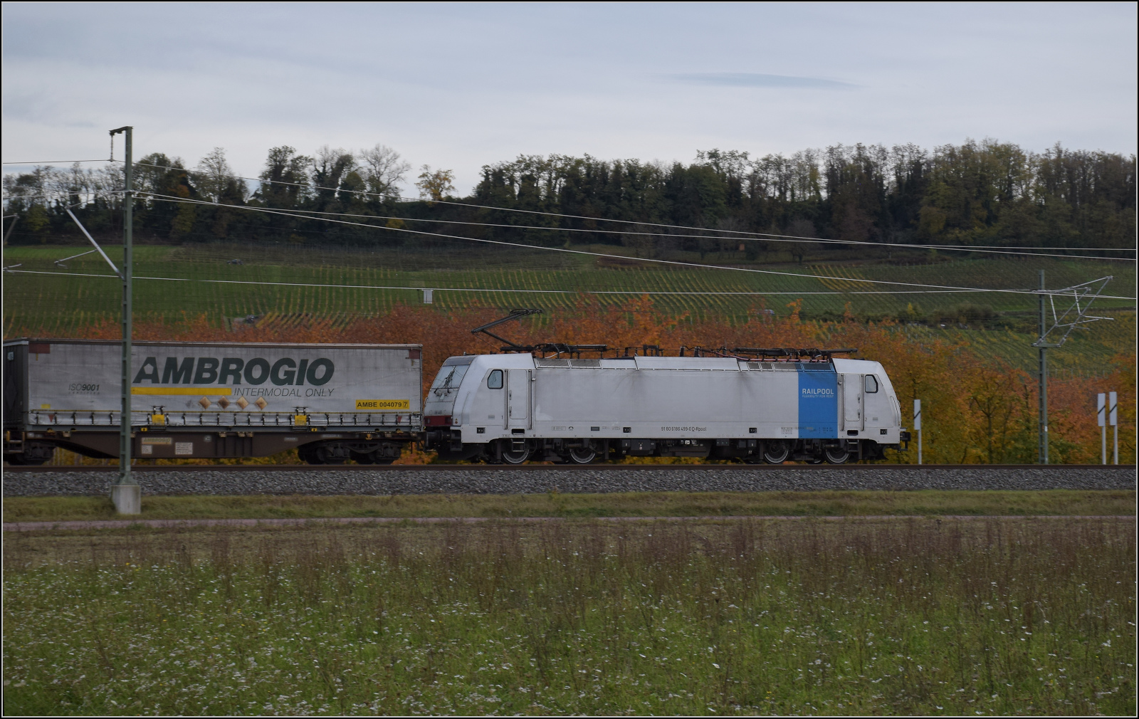 Herbst in Auggen.

186 499 von Railpool mit dem Ambroggiozug nach Süden. Oktober 2025.