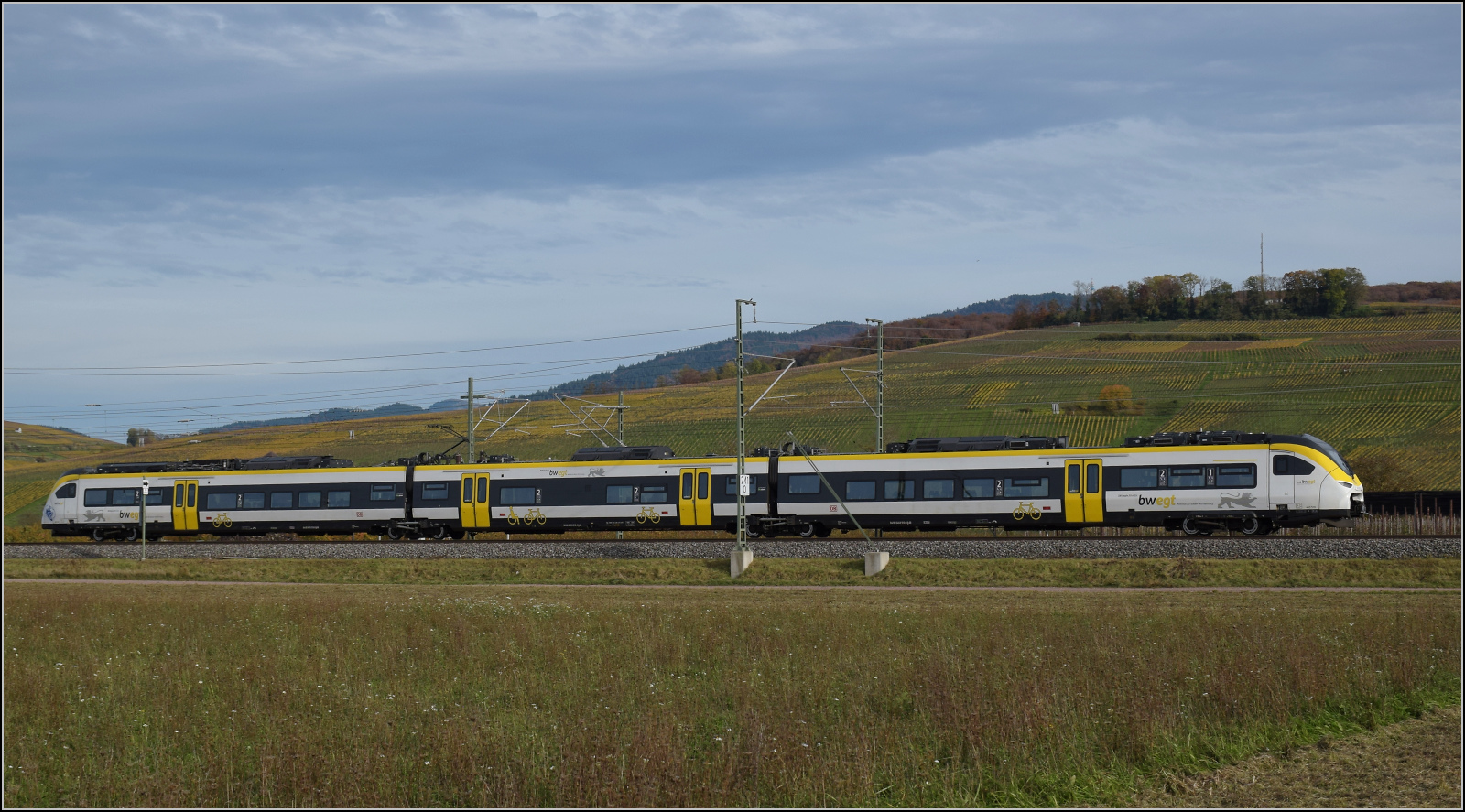 Herbst in Auggen.

463 010 auf dem Weg nach Freiburg. Oktober 2025.
