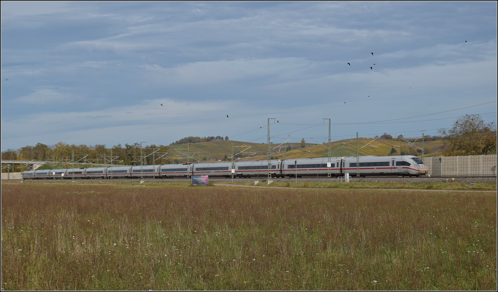 Herbst in Auggen.

463 010 auf dem Weg nach Freiburg. Oktober 2025.