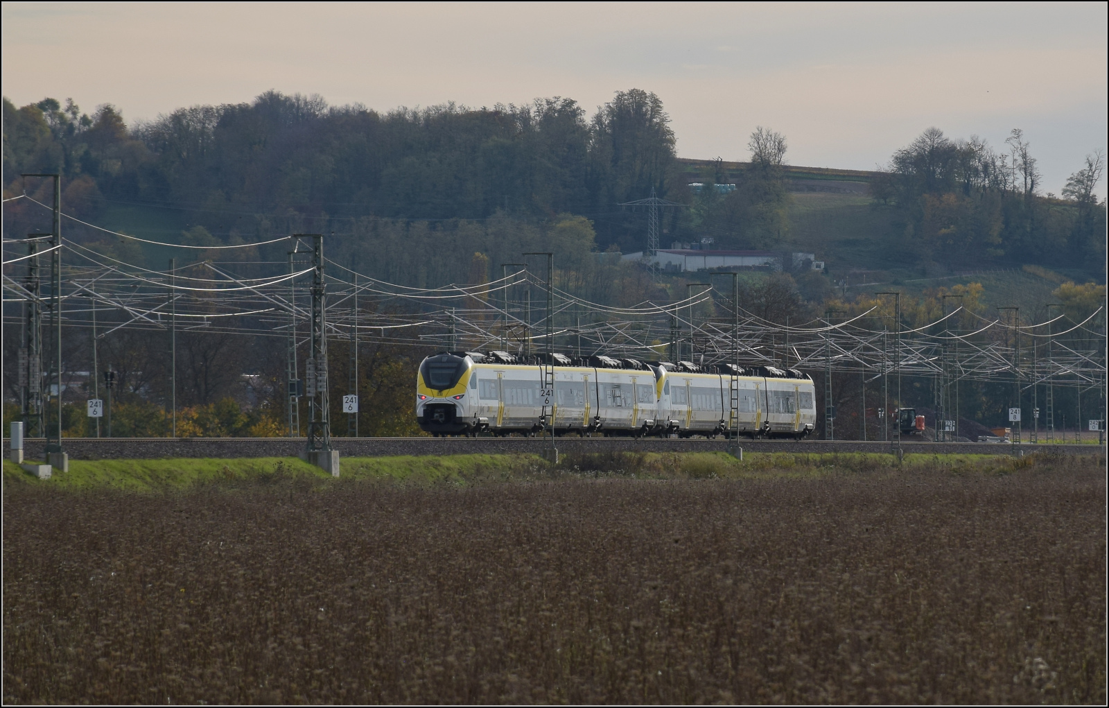 Herbst in Auggen.

463 014 und 463 021 auf dem Weg nach Basel. Oktober 2025.