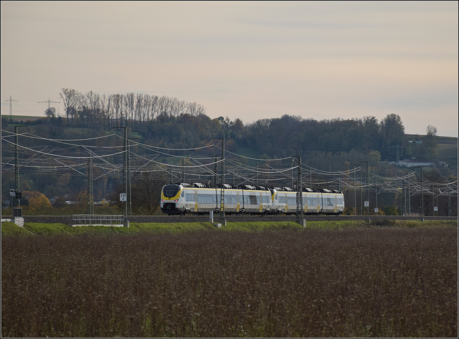 Herbst in Auggen.

463 014 und 463 021 auf dem Weg nach Basel. Oktober 2025.