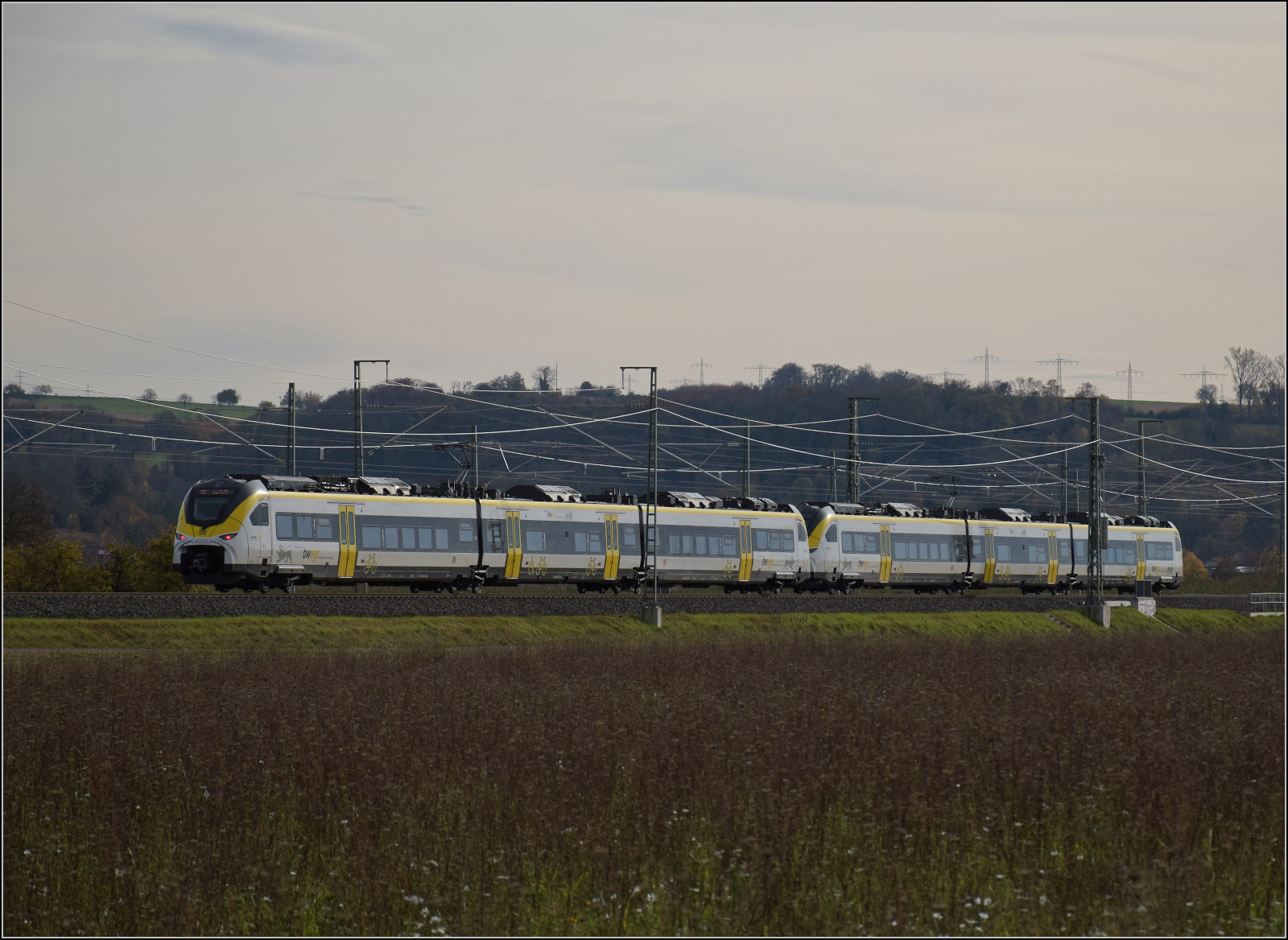 Herbst in Auggen.

463 014 und 463 021 auf dem Weg nach Basel. Oktober 2025.