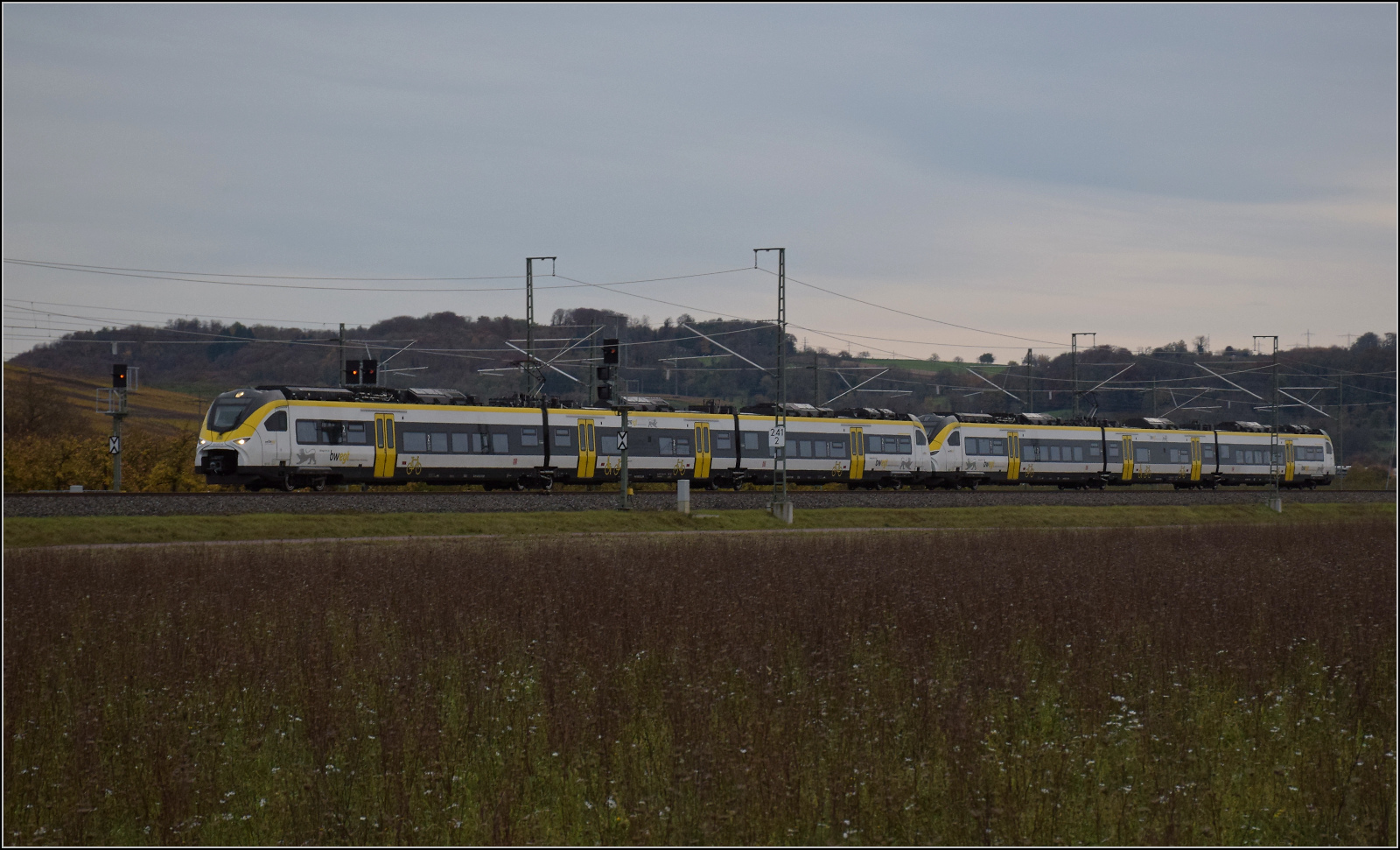 Herbst in Auggen.

463 021 mit 463 014 auf dem Weg nach Freiburg. Oktober 2025.