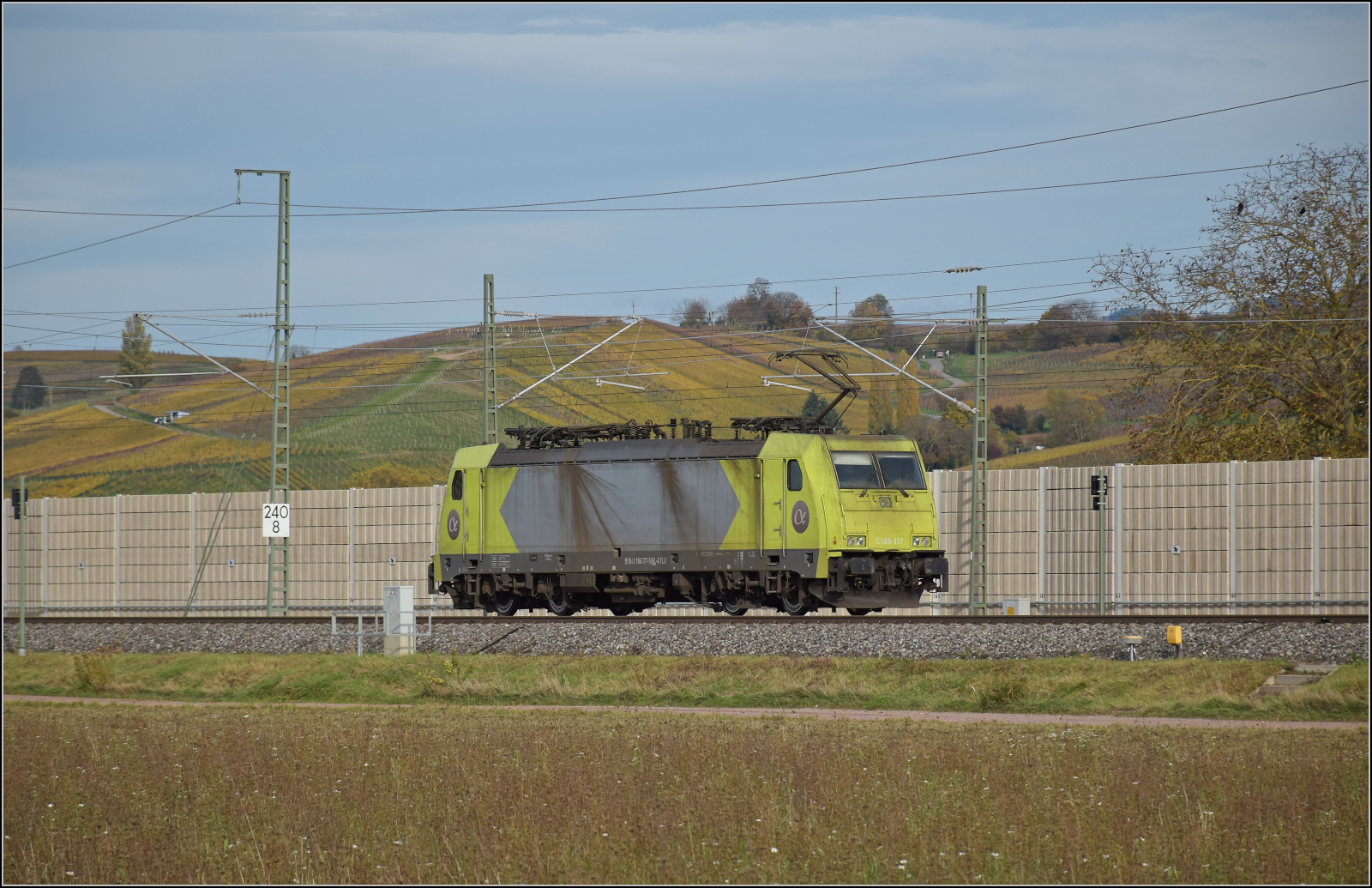 Herbst in Auggen.

91 81 1 186 117 NL-ATLU fährt solo nordwärts. Oktober 2025.