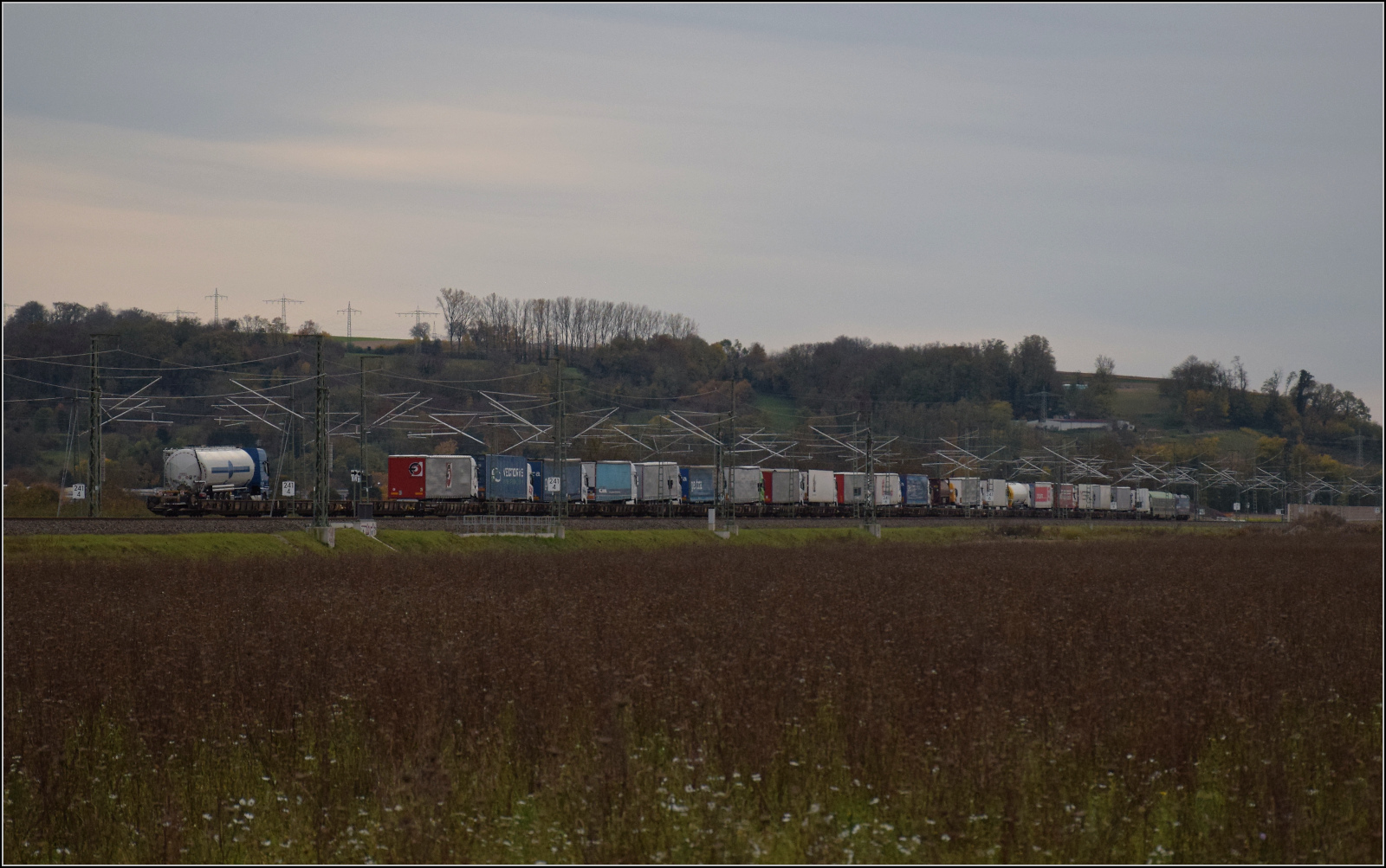Herbst in Auggen.

Rola mit 193 534 'Ruhr' auf dem Weg nach Italien. Oktober 2025.