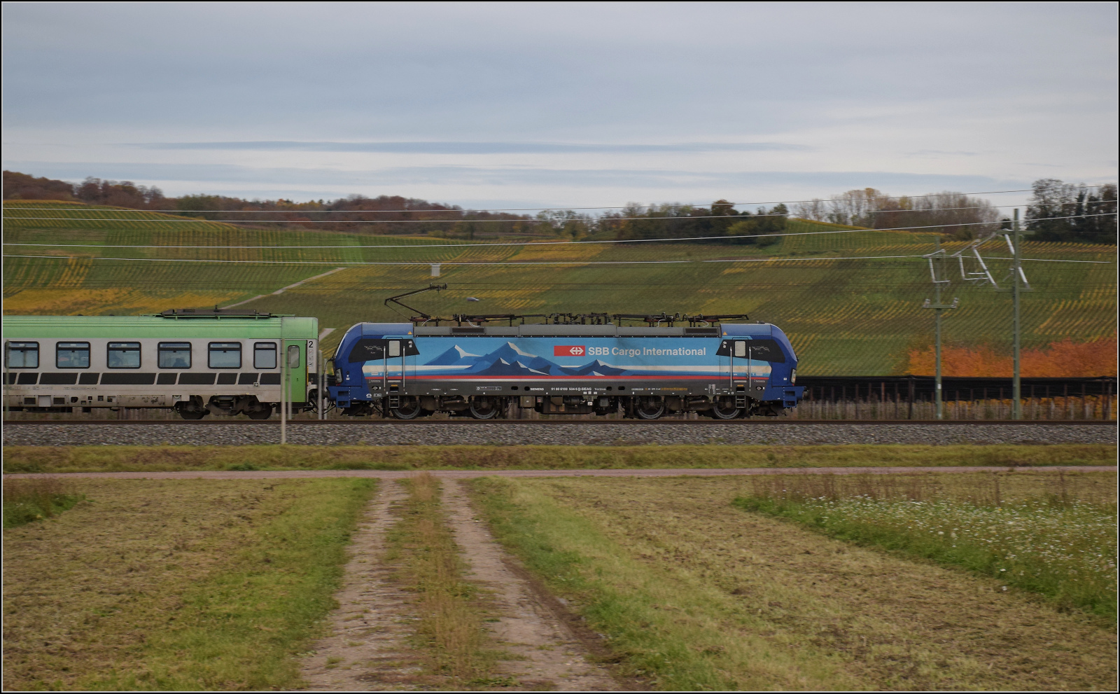 Herbst in Auggen.

Rola mit 193 534 'Ruhr' auf dem Weg nach Italien. Oktober 2025.