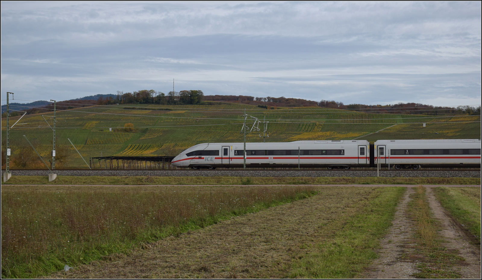 Herbst in Auggen.

Triebzug 9274 alias '412 074' auf dem Weg nach Freibug. Oktober 2025.