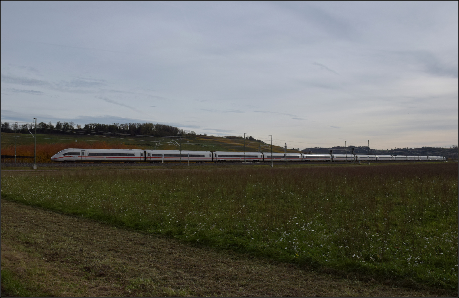 Herbst in Auggen.

Triebzug 9274 alias '412 074' auf dem Weg nach Freibug. Oktober 2025.