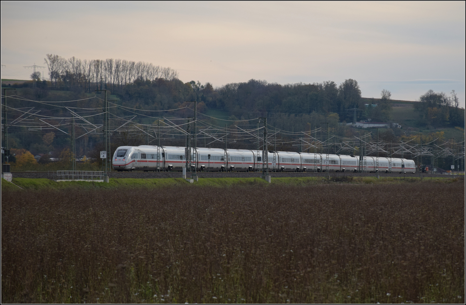 Herbst in Auggen.

Triebzug 9287 alias '412 087' auf dem Weg in die Schweiz. Oktober 2025.